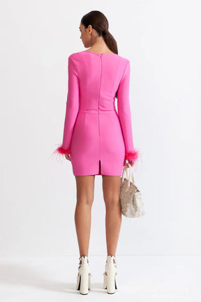 Vestido de Manga Longa com Plumas – Elegância e Sensualidade
